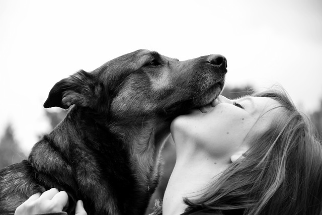Cachorros sabem quando estamos tristes